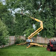 Professional  Tree Services in Sumter, SC